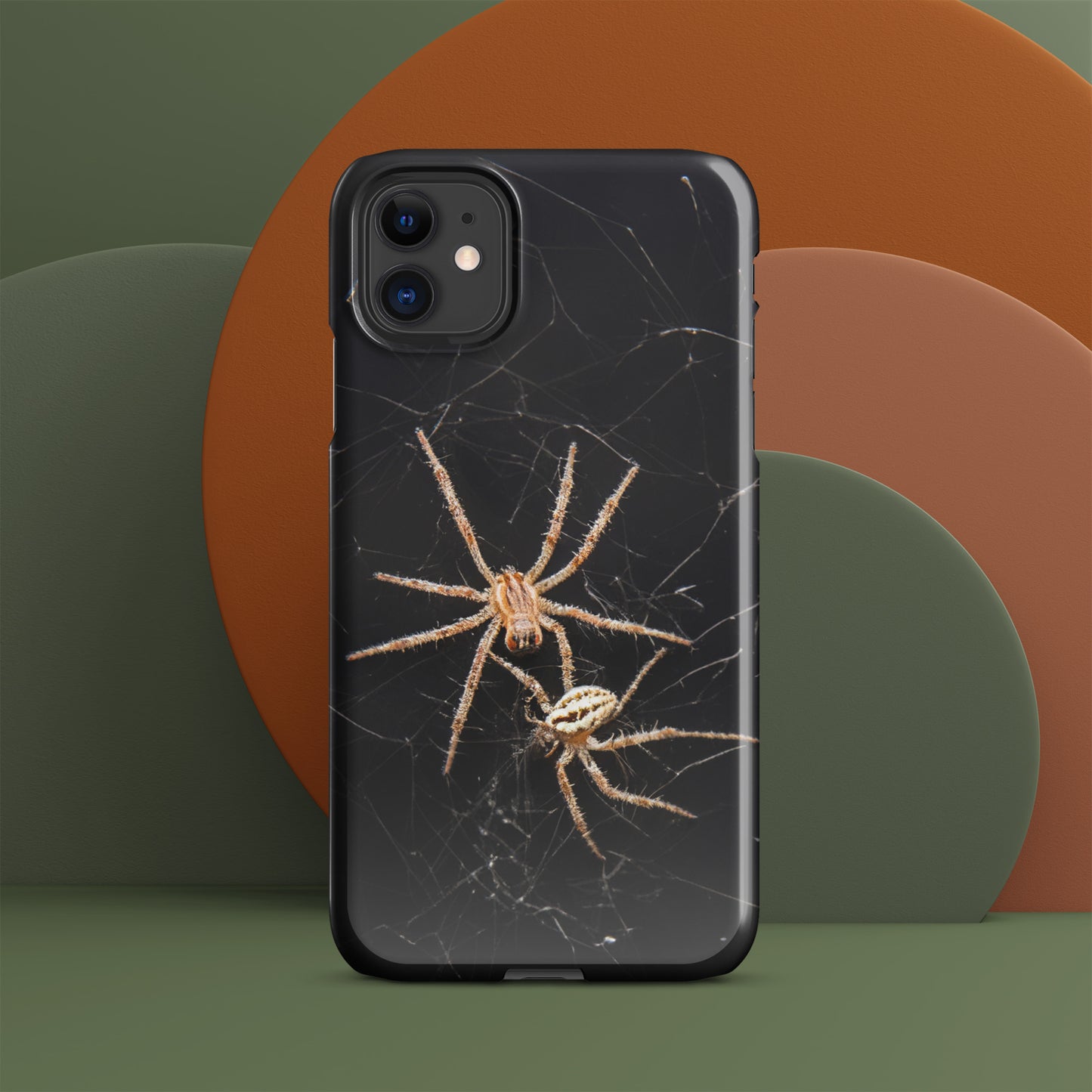 Spider Webs Screen