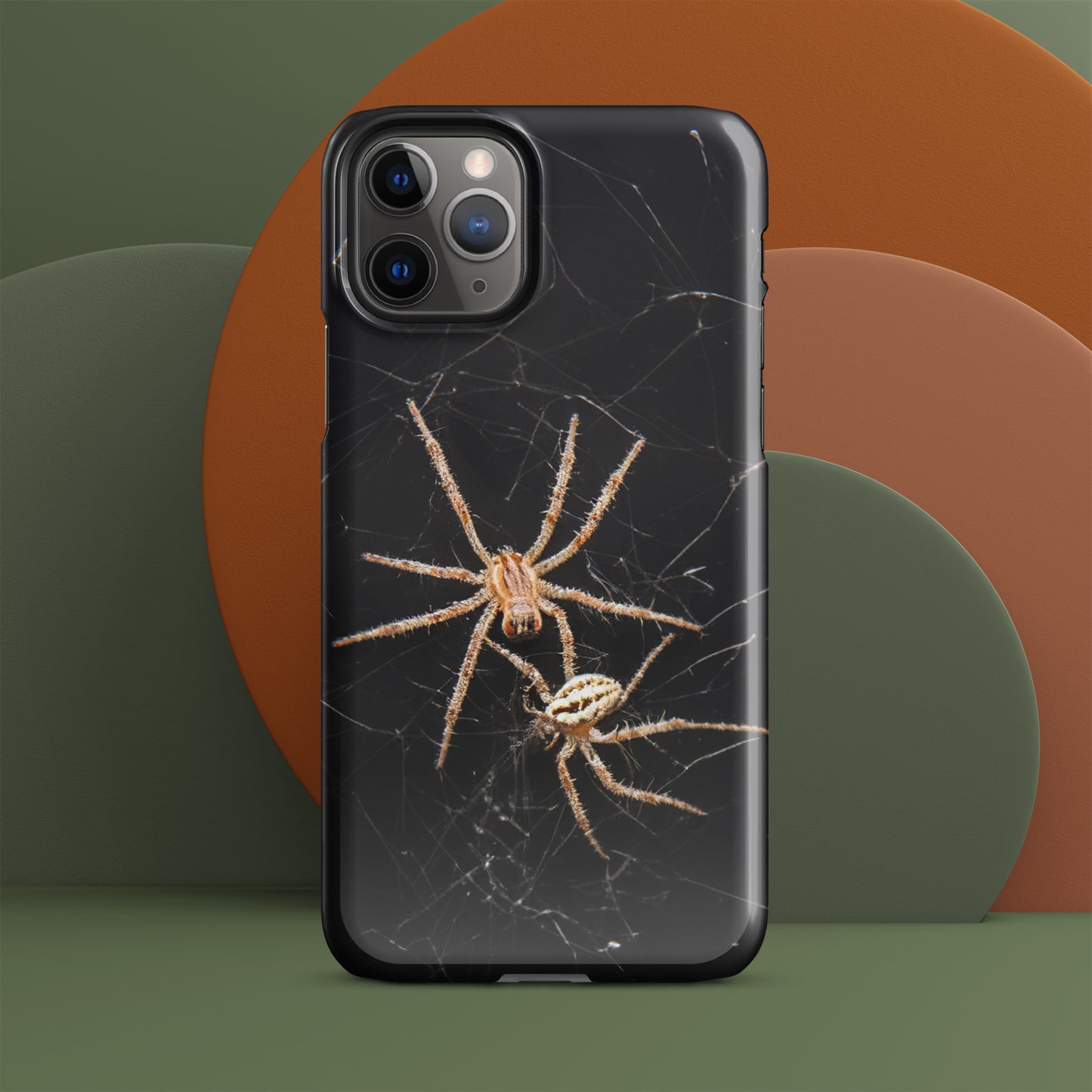 Spider Webs Screen