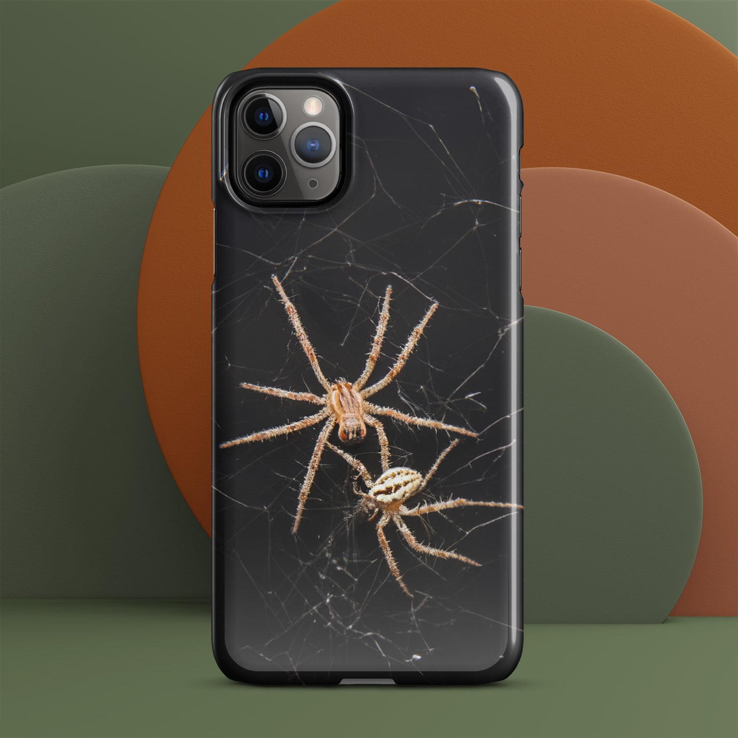 Spider Webs Screen