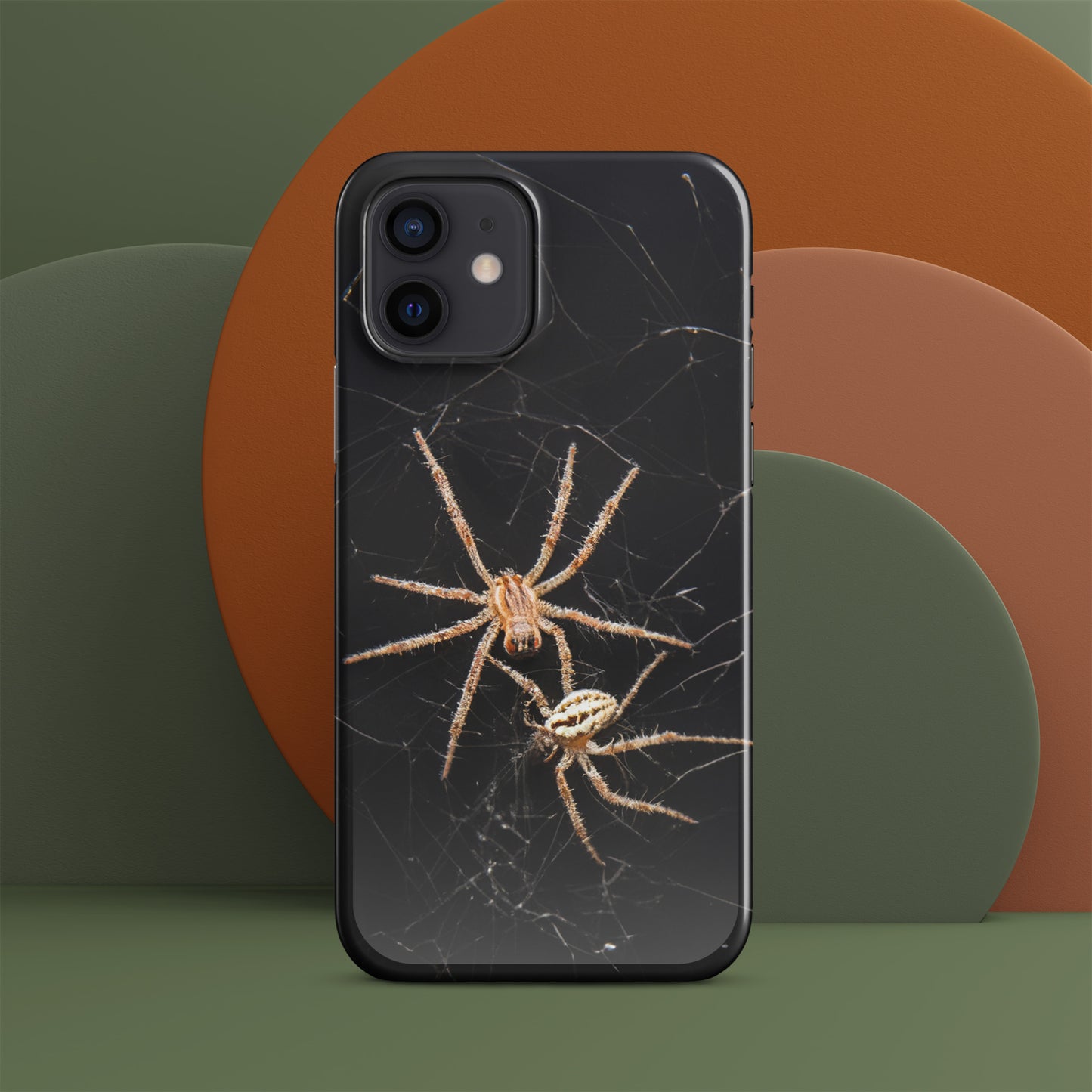 Spider Webs Screen