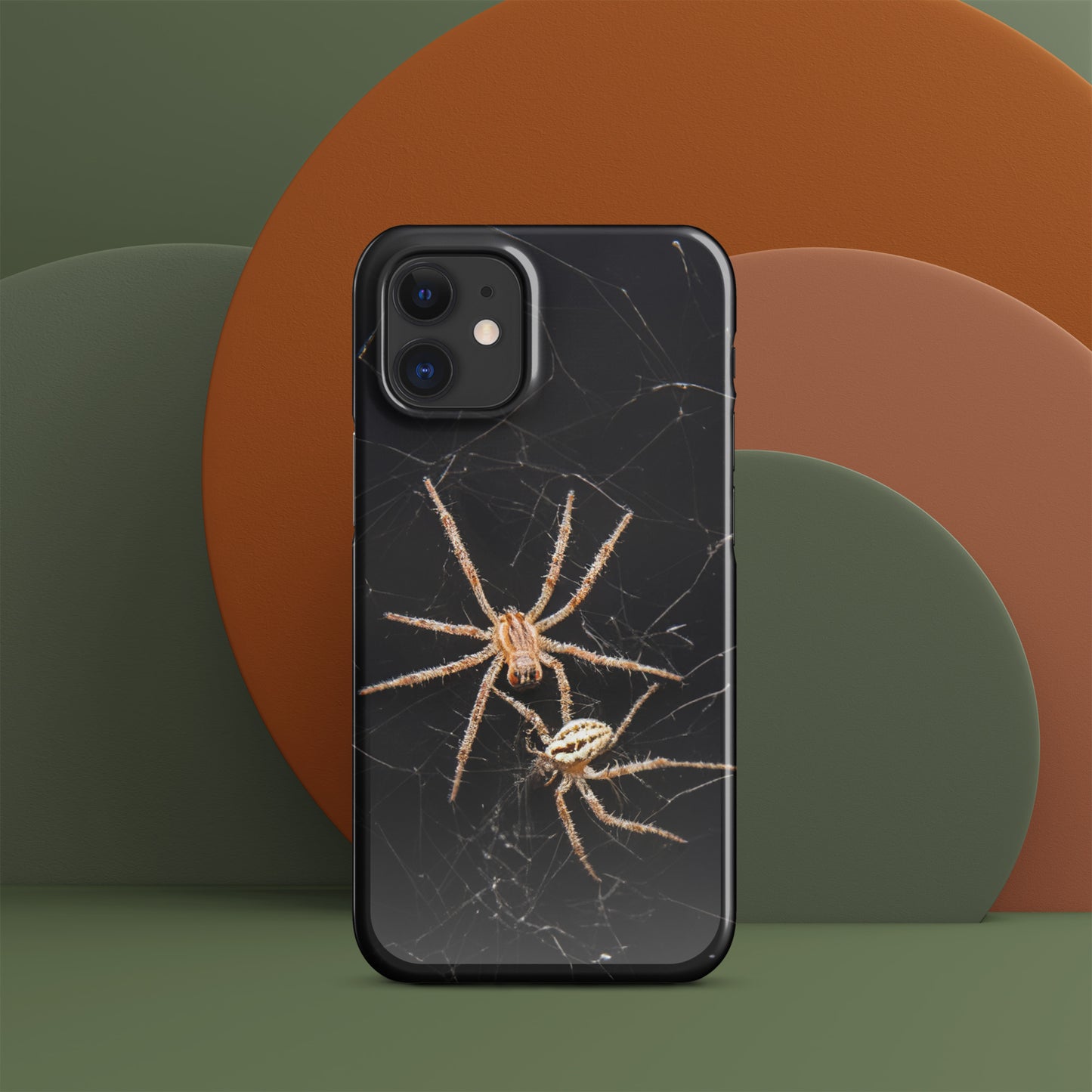 Spider Webs Screen