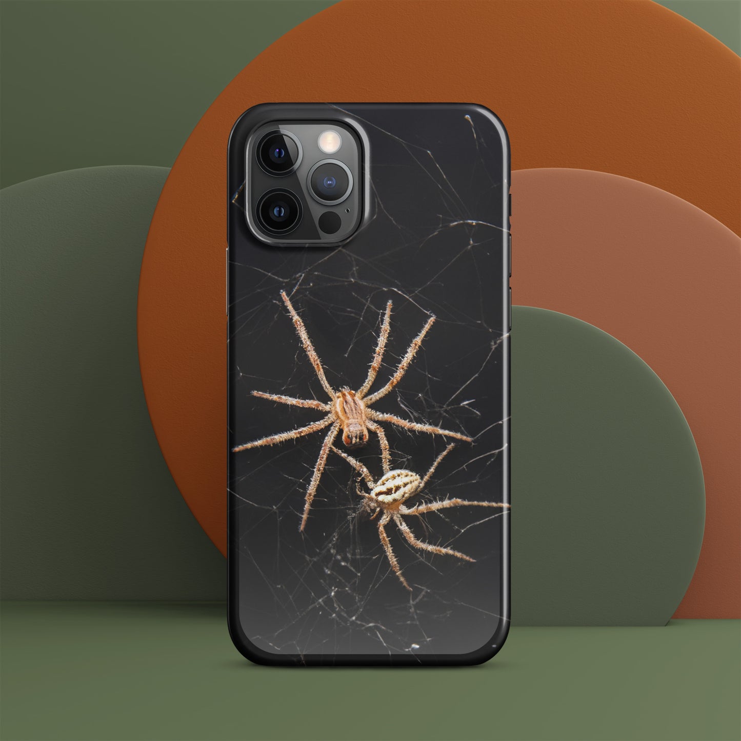 Spider Webs Screen