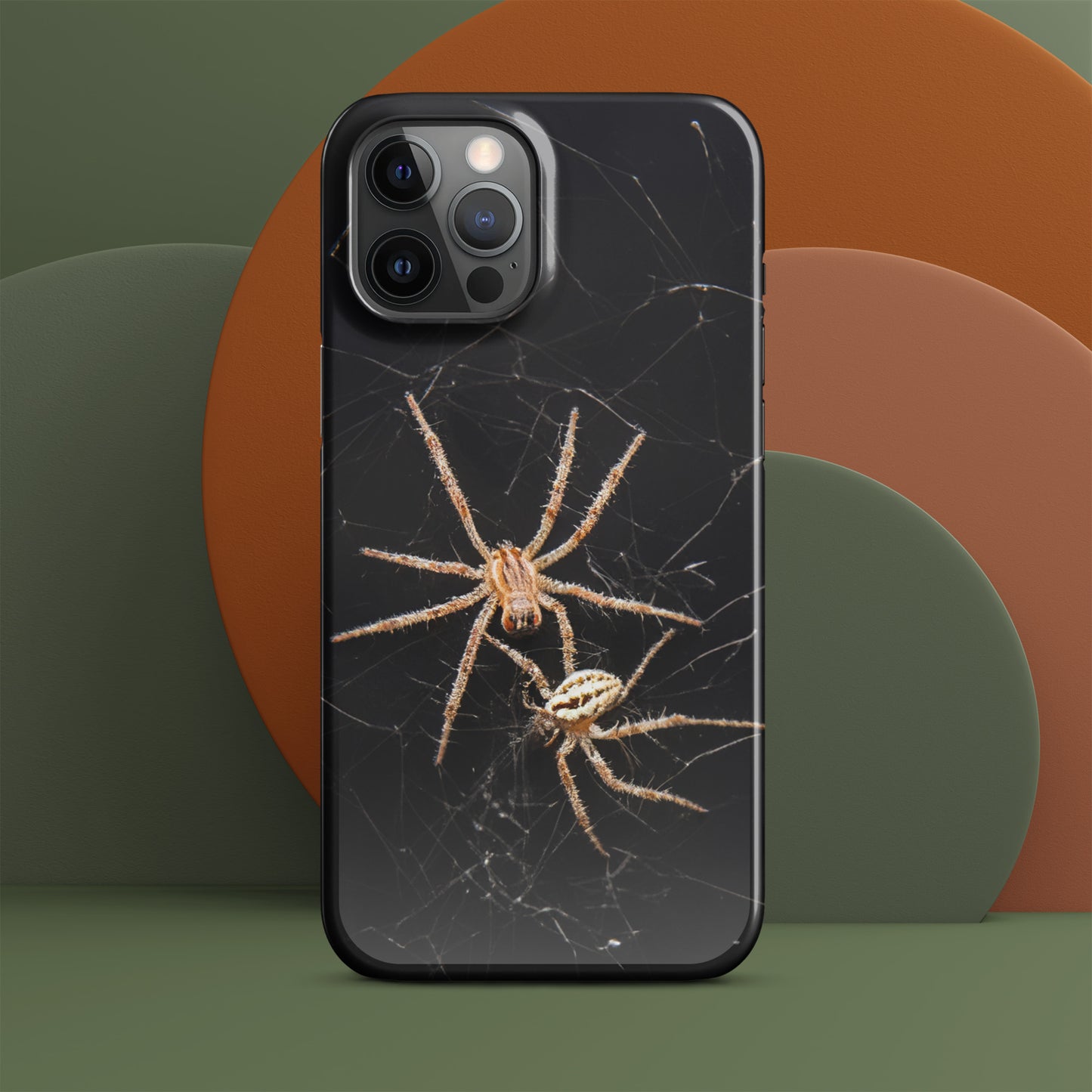 Spider Webs Screen