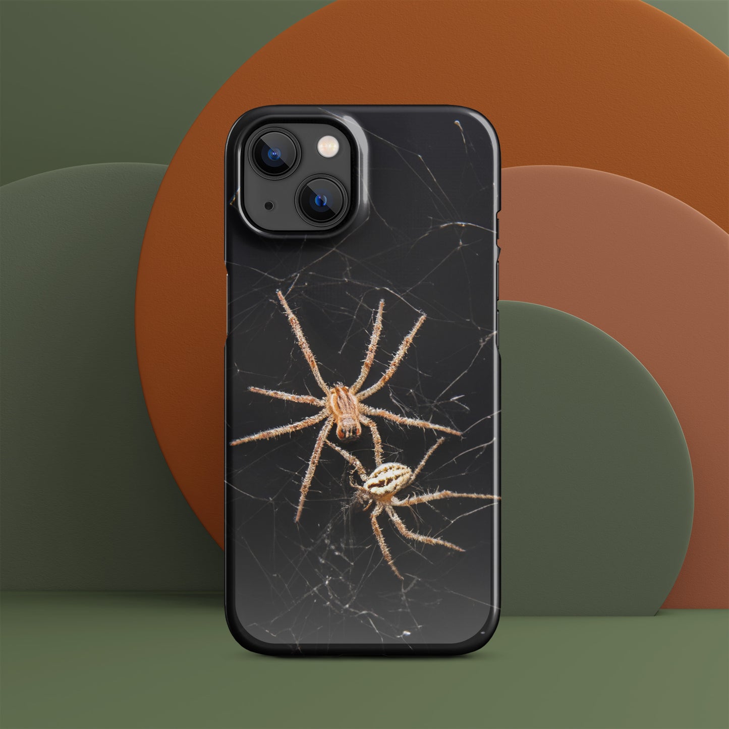 Spider Webs Screen