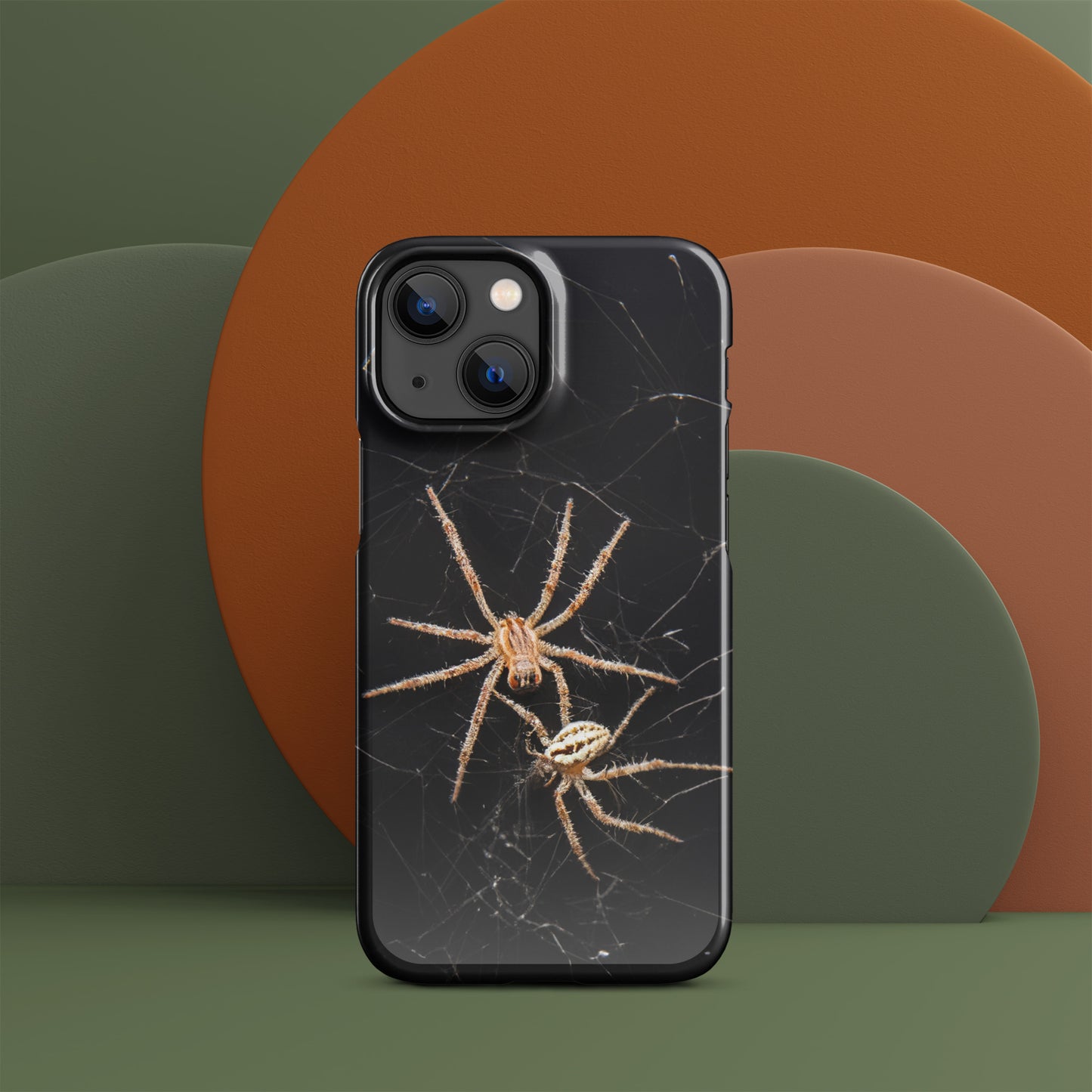 Spider Webs Screen