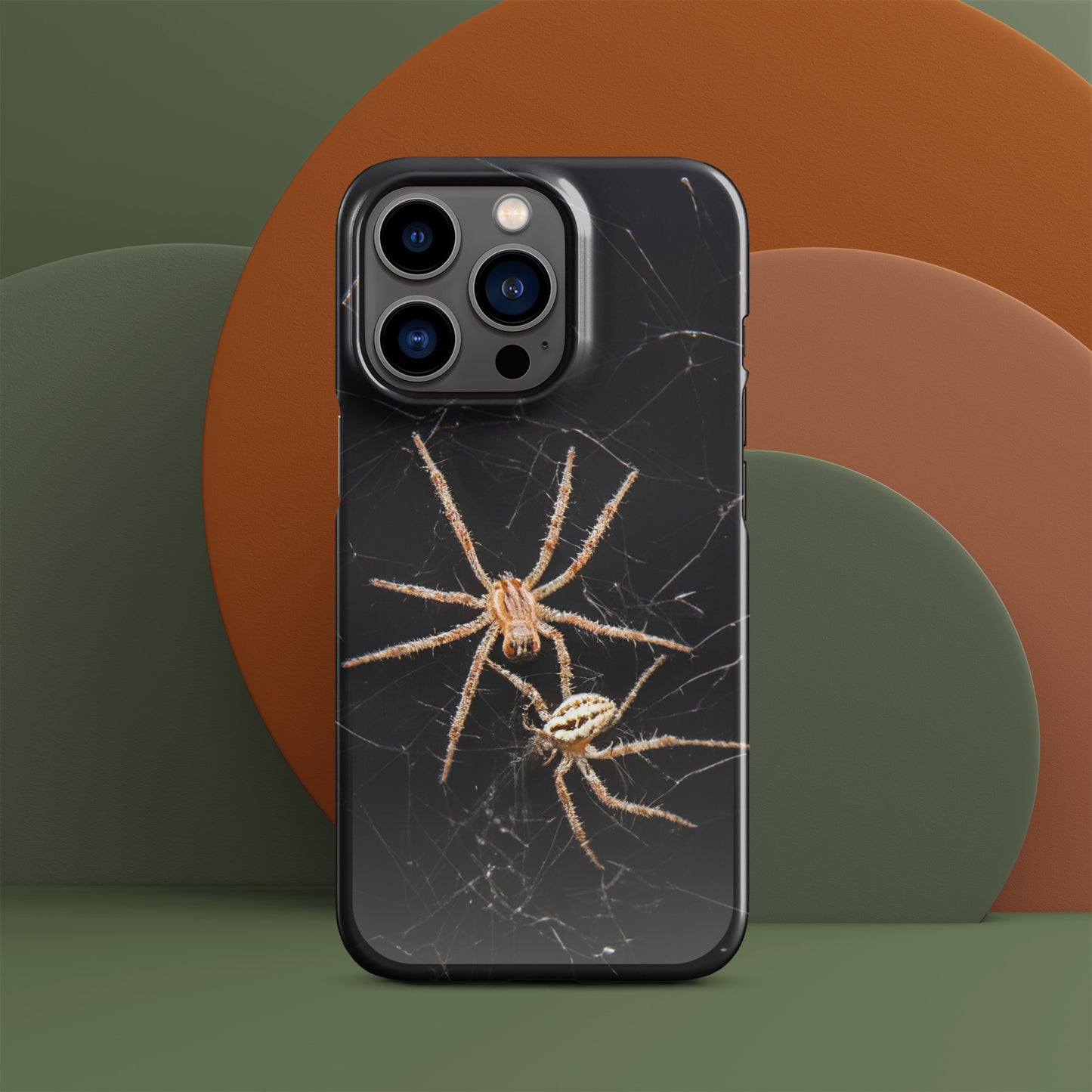 Spider Webs Screen