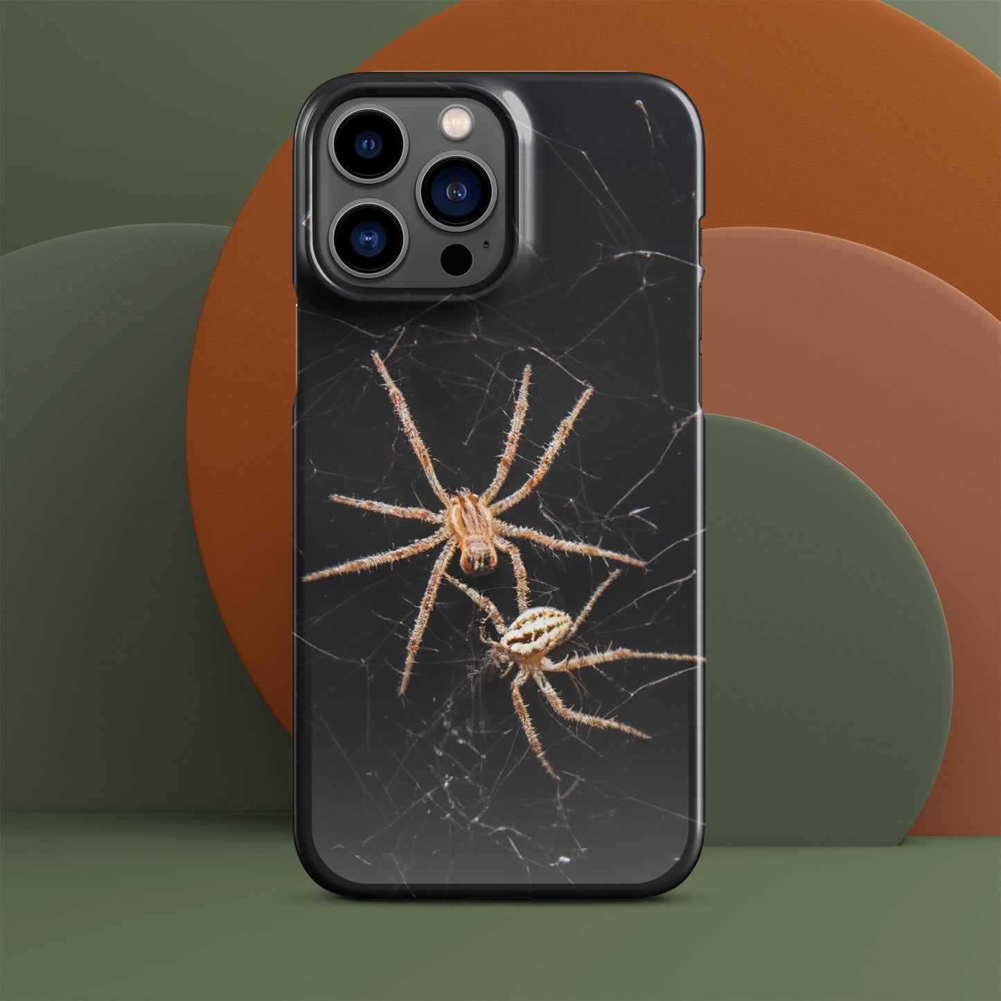 Spider Webs Screen