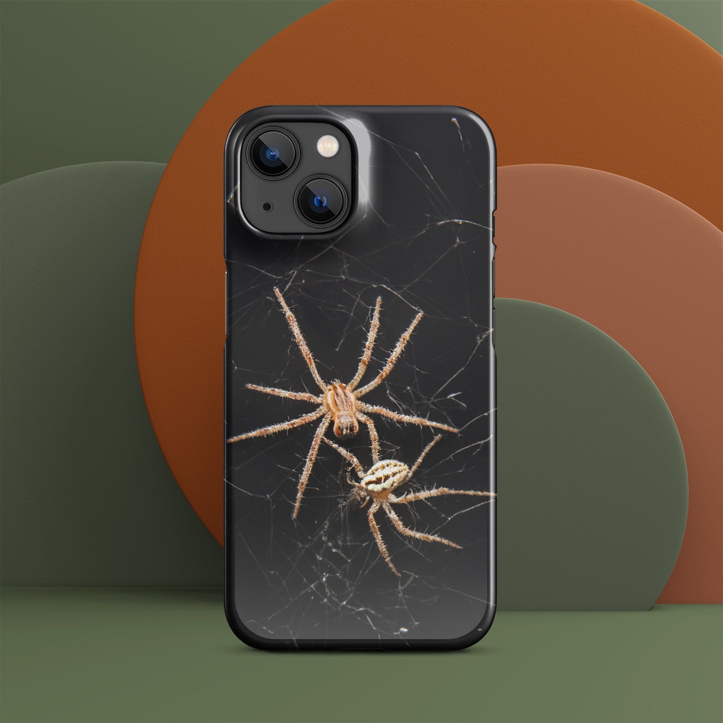 Spider Webs Screen