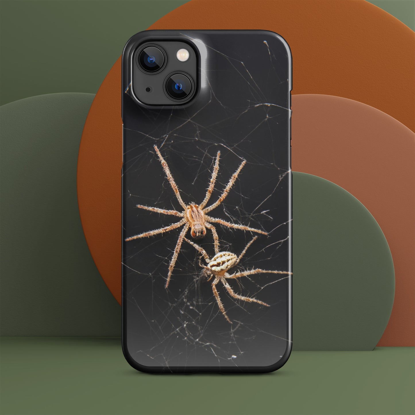 Spider Webs Screen