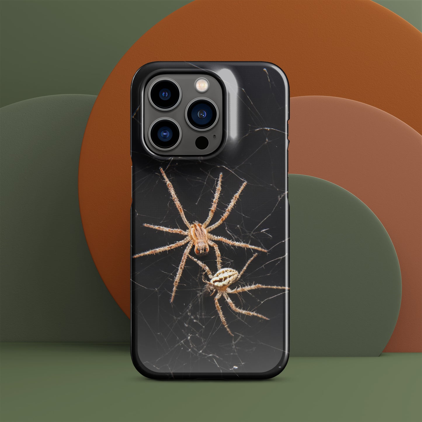 Spider Webs Screen