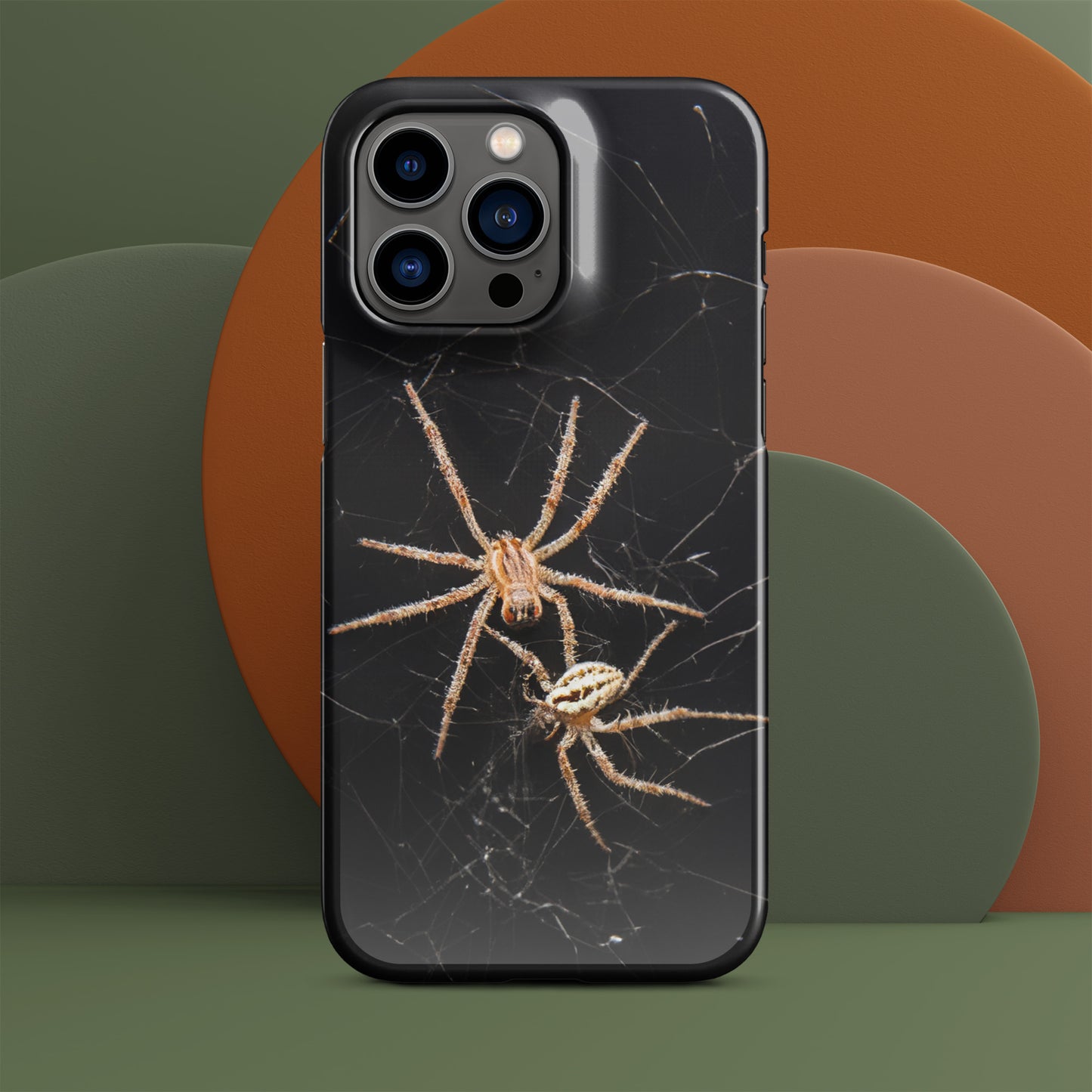 Spider Webs Screen