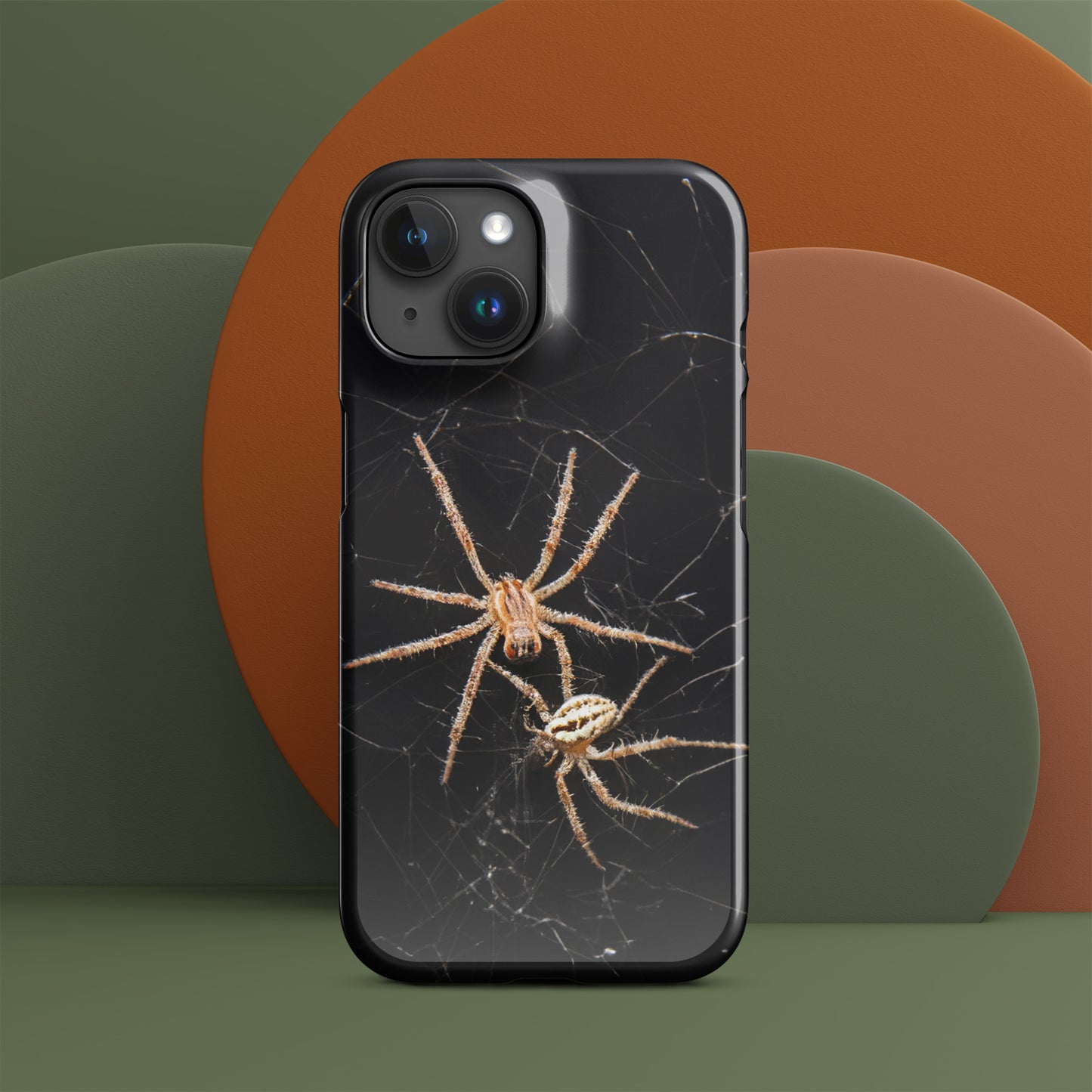 Spider Webs Screen