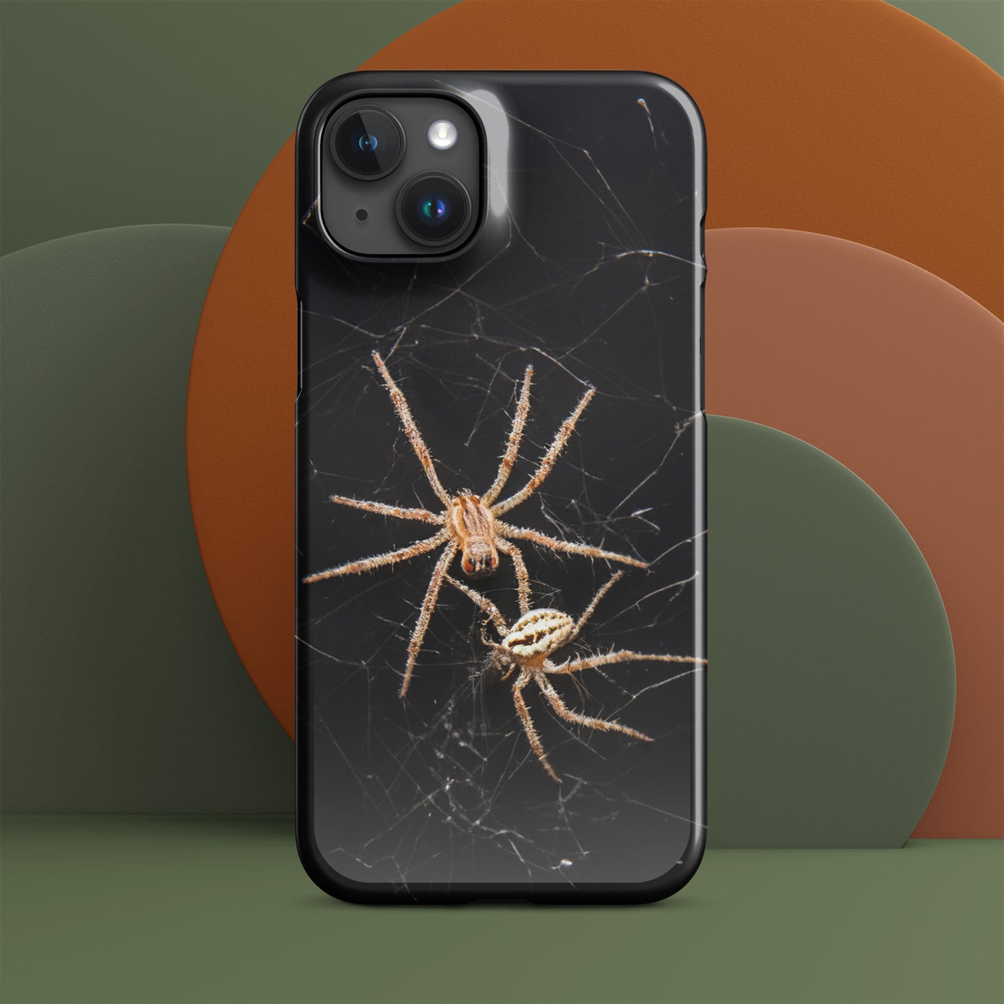 Spider Webs Screen