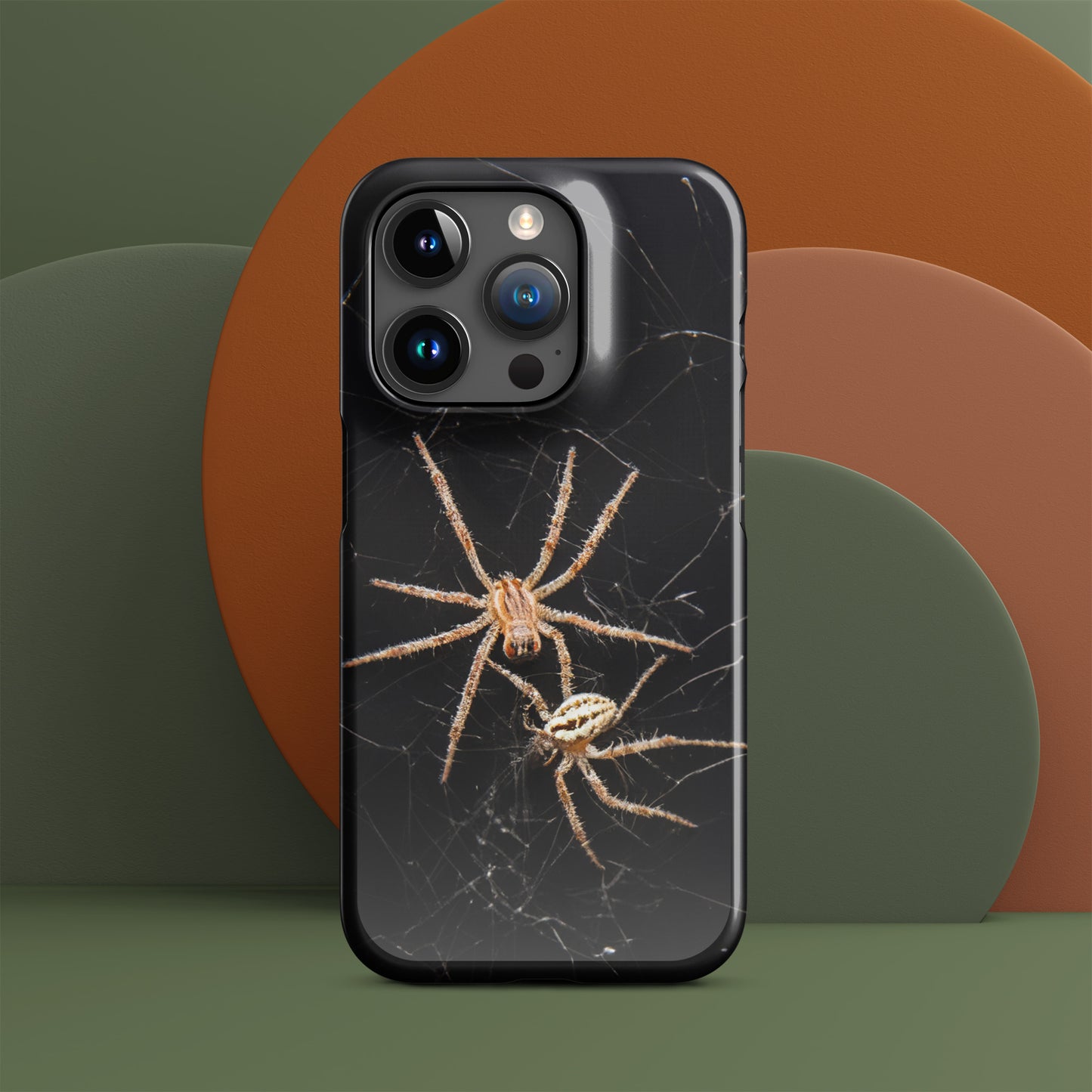 Spider Webs Screen