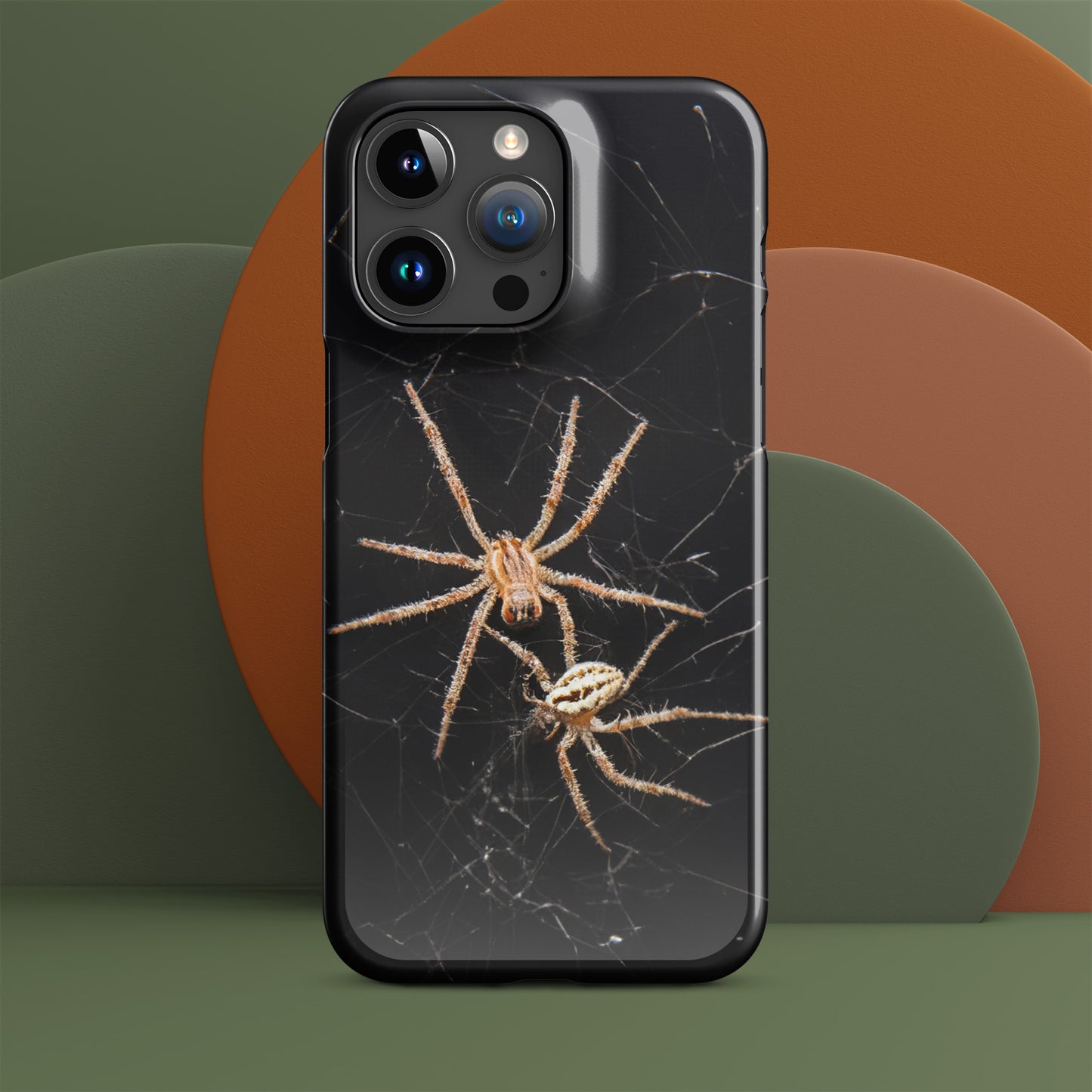 Spider Webs Screen